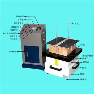 전자 진동 테스트